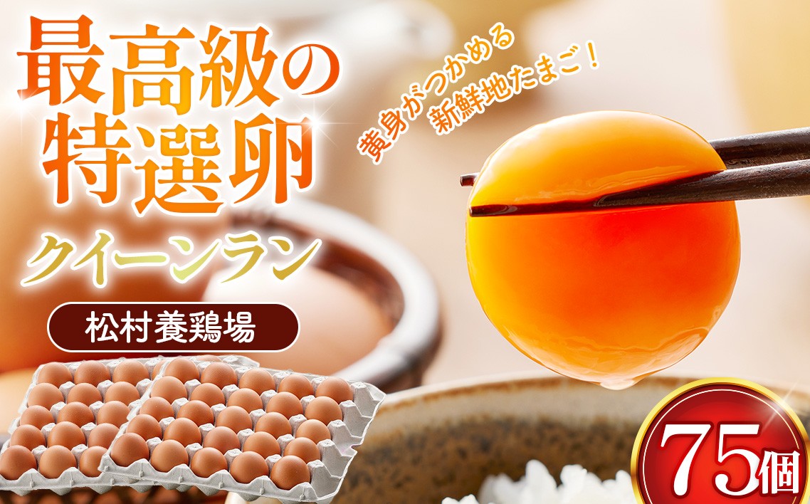 
                  黄身がつかめる新鮮地たまご クイーンラン 赤玉 75個入 ／ 卵 新鮮卵 卵かけご飯 TKG 濃厚卵 黄身 弾力卵 生卵 卵料理 大容量 卵まとめ買い 新鮮食材 朝食食材 料理食材 家庭用卵 埼玉県 No.591
                