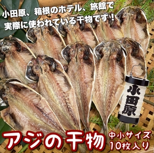鯵の干物 中小サイズ 10枚セット【アジ アジ アジ アジ アジ】