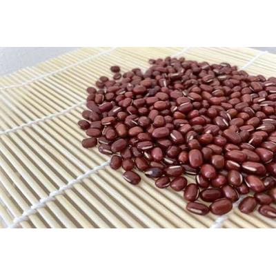 ふるさと納税 古河市 粒練り餡 1kg | あんこ あん 餡 つぶあん つぶあんこ おいしい 便利 簡単 小豆 _EL02 |  | 01