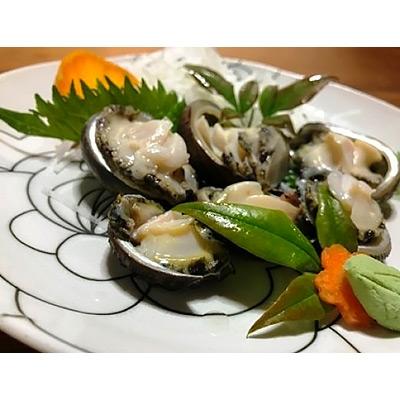 ふるさと納税 屋久島町 屋久島産　加熱用「いそもん」500g【海水で冷凍】