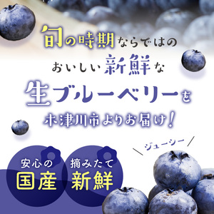 2025年発送 先行予約 木津川市産ブルーベリー2kg 生ブルーベリー 新鮮 ブルーベリー 国産ブルーベリー 果物  小分け ヨーグルト ジャム スムージー 冷蔵お届け 安心国産 摘みたて新鮮 京都府