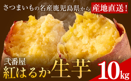 【先行予約】紅はるか 芋 10kg 紅はるか　