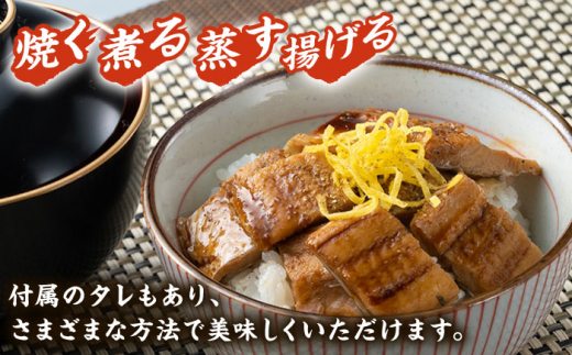 【全3回定期便】対馬産 穴子 詰め合わせ 5PAC《 対馬市 》【対馬水産株式会社】対馬 新鮮 とろ あなご ふわふわ 煮穴子 冷凍 海鮮 [WAV004]