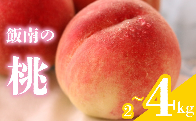 
            【2025年6月下旬より順次発送】 桃 約2～4kg 飯南の桃 もも モモ 果物 くだもの 果実 フルーツ 旬 旬の果物 デザート スイーツ おやつ ゼリー ジュース 人気果物 人気フルーツ ランキング 香川 丸亀
          