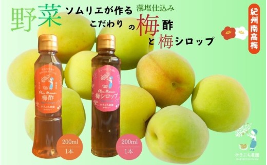 【藻塩仕込みの梅酢は数量限定】 野菜ソムリエ仕込み 梅酢・梅シロップセット 紀州南高梅使用 200ml×各1本 kkbc003
