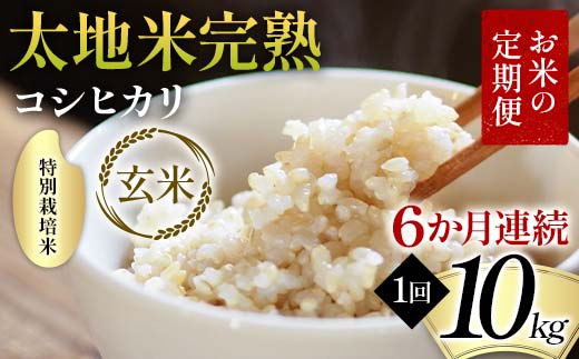 【先行予約】お米の定期便 特別栽培米 太地米完熟 【こしひかり】 玄米10kg×6か月連続 ブランド米 お米 人気 F7X-0713