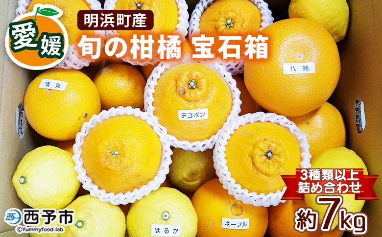 
            産地直送!！　愛媛県明浜町産　旬の柑橘　宝石箱（宇都宮農園）
          