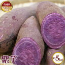 【ふるさと納税】No.623 【先行予約】紫芋　約5kg【茨城県共通返礼品 行方市】 ／ 旬 新鮮 むらさき芋 ムラサキイモ さつまいも サツマイモ 野菜 送料無料 茨城県