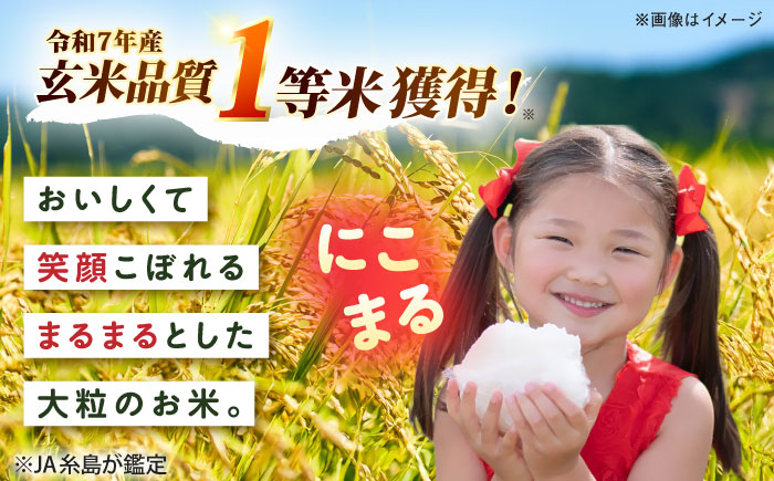 【全12回定期便】 にこまる 玄米品質1等米 白米 10kg 糸島市産 糸島市 / 糸島の恵み コメ こめ ご飯 [AGR013]