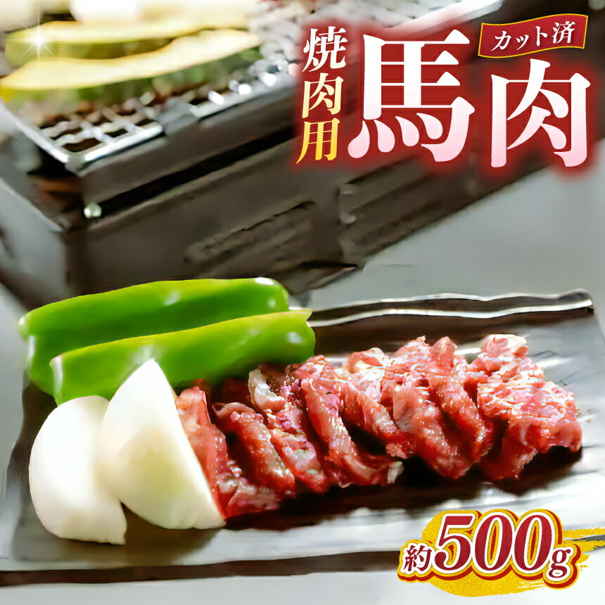 【ふるさと納税】馬肉 焼肉用 500g カット済 | 熊本県 熊本 くまもと 和水町 なごみまち なごみ 馬肉 馬刺し セット 赤身馬刺し 冷凍 ブロック 真空パック