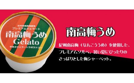 プレミアムジェラート 南アイス アイスクリーム ジェラート ソルベ スイーツ / 高梅うめソルベ12個セット アイスクリームセット 100mlカップ ゆあさジェラートラボラトリー【kmtb700-06】