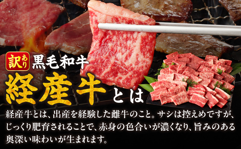 生産者応援≪訳あり≫黒毛和牛(経産牛)6種焼肉セット(合計600g) 肉 牛 牛肉 おかず 国産_T030-1203