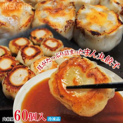 ふるさと納税 常陸大宮市 【ふるさと納税】まん丸生餃子冷凍　約30g×60個入り(1パック6個入り×10パック)