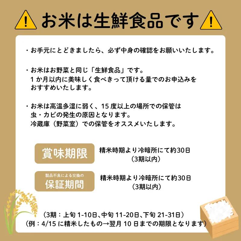 【期間限定】ミルキークイーン 5kg 【ブランド米】 令和7年産 米 精米