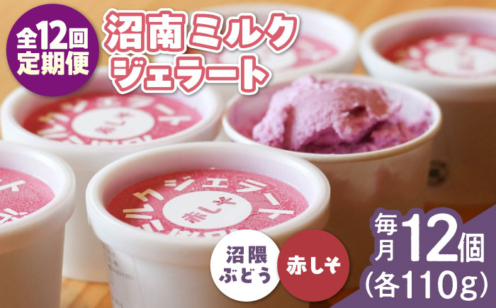 
            【全12回定期便】沼南ミルクジェラート 沼隈ぶどう＆赤しそ　各6個　食べ比べセット　アイス  ぶどう 赤しそ アイス アイスクリーム デザート スイーツ ご当地 広島県福山市/甚ごろう [BAEC052]
          