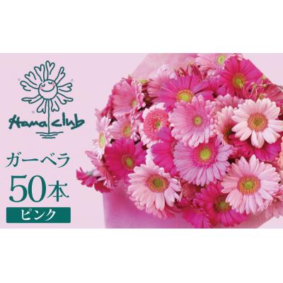 ふるさと納税 碧南市 【ラッピング付】生花 ピンクガーベラ の花束 50本 ギフト H193-002