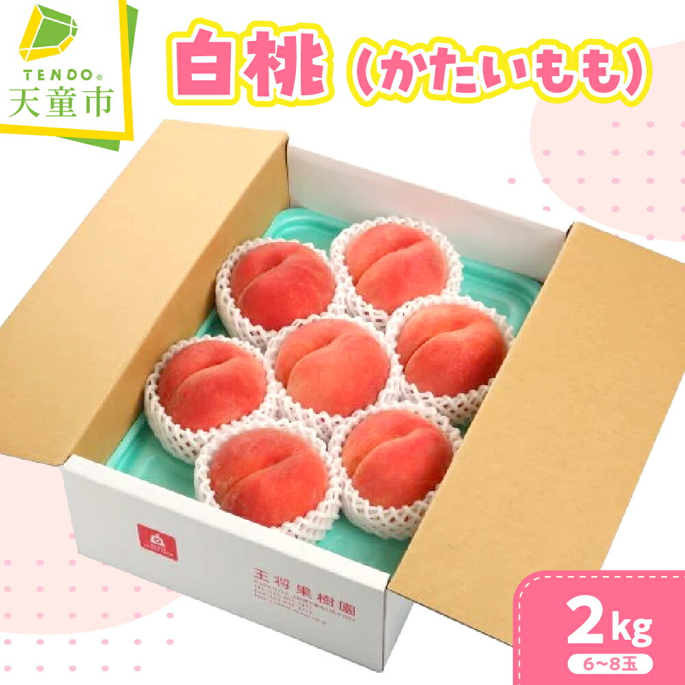 【ふるさと納税】かたいもも ( 白桃 ) 2kg 令和8年産 先行予約 2026年 桃 もも モモ 果物 くだもの フルーツ 山形 お取り寄せ 産地直送 送料無料【 山形県 天童市 】
