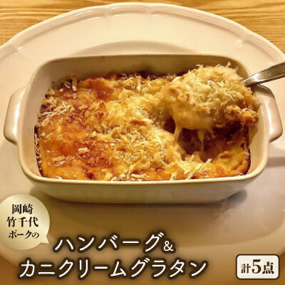 【ふるさと納税】【新ブランド豚使用】愛知県岡崎市から贈る、岡崎竹千代ポークのハンバーグとカニクリームグラタン【配送不可地域：離島】【1436207】