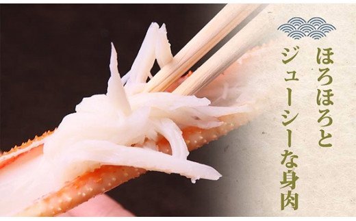 【蒸し】訳あり 足折れ松葉ガニ　計1.5ｋｇ前後 / ずわいがに カニ 訳アリ TM13 0723