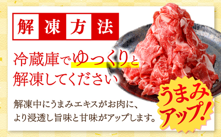 国産 黒毛和牛 熟成肉 切り落とし計1㎏（500g×2パック）/ 小分け 国産牛 お肉 牛肉 切落し 冷凍 焼肉 すき焼き / 南島原市 / ふるさと企画[SBA093]