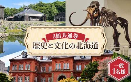 歴史と文化の北海道3館共通券 一般1名様分 人気 おすすめ 利用券 チケット F6S-519