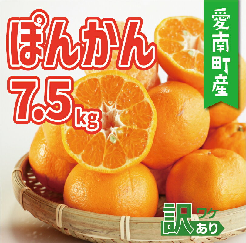 【ふるさと納税】 訳あり ポンカン 7.5kg 10000円 みかん 蜜柑 ぽんかん 産地直送 国産 農家直送 糖度 期間限定 数量限定 特産品 人気 限定 甘い フルーツ 果物 柑橘 小玉 含む 規格外 サイズ ミックス 傷み補償 500g ミッチーのおみかん畑 愛南町 愛媛県