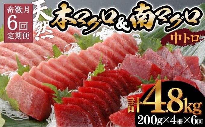 
                  【6回定期便】天然本マグロ 天然南マグロ 中トロ 各2柵 奇数月にお届け 頒布会 まぐろ 鮪 海鮮 冷凍 さしみ 刺身 まぐろセット 食べ比べ まぐろ定期便 鮪定期便 海鮮定期便 人気定期便 高知県 室戸市
                