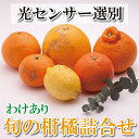 【ふるさと納税】 ＼容量が選べる／ 家庭用 旬の柑橘詰合せ 【訳あり・わけあり】【有田の春みかん詰め合わせ・フルーツ詰め合せ・オレンジつめあわせ】【光センサー選別】＜2025年1月上旬〜4月下旬ごろに順次発送＞