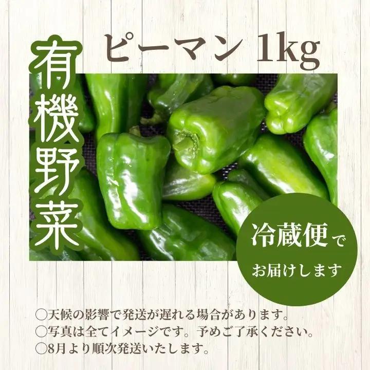 《2026年8月以降順次発送》ピーマン1kg【一般社団法人二本松有機農業研究会】