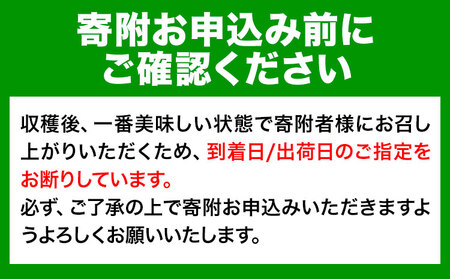 八朔 ハッサク 【訳あり/ご家庭用】はっさく 八朔 4kg＋1kg  計約5kg サンファーム《1月上旬-3月中旬頃より出荷予定》和歌山県 紀の川市 ご家庭用