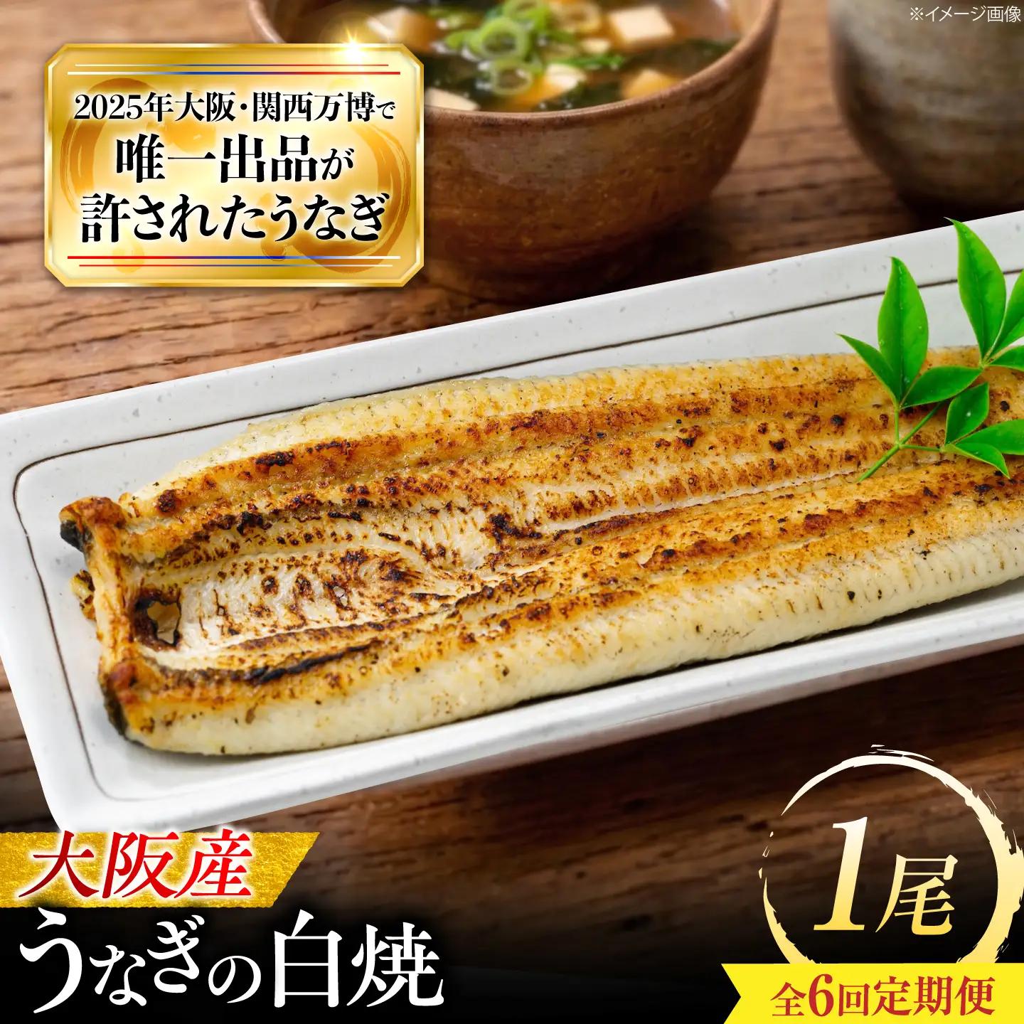 【全6回定期便】 鰻 美陵鰻の白焼 1尾 / 美陵鰻 鰻 うなぎ ウナギ 蒲焼 蒲焼き かば焼き 白焼き 白焼 肉厚 うな重 うな丼 タレ 山椒 国産 スタミナ 土用 丑の日 土用の丑の日 贈答 贈り物 ギフト / 大阪府藤井寺市/(株)れいわ水産[BLAL024]