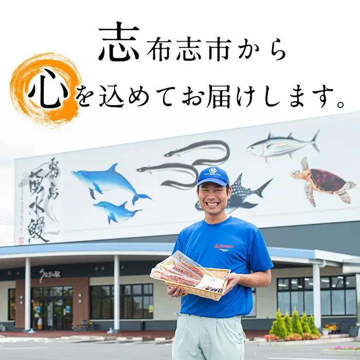 a0-331 国産甘辛さばカツ120g以上×10枚入り＜計1.2kg以上＞
