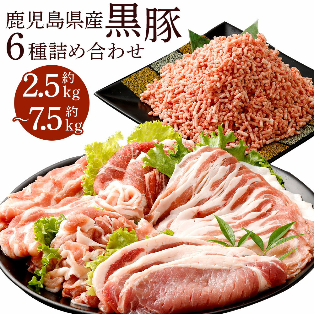 【ふるさと納税】鹿児島県産 黒豚 6種詰合せ（肩ロース・バラ・ロース・切り落とし・ミンチ・とんかつ用）計約2.5kg 計約5kg 計約7.5kg 豚バラ カタ モモ肉 豚ミンチ ミンチ肉 切落し 豚肉 肉 お肉 国産豚肉 セット お取り寄せ グルメ 冷凍 鹿児島県 薩摩川内市 送料無料