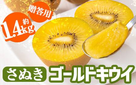 ＜先行予約！2026年10月中旬以降順次発送予定＞《贈答用・大玉厳選》 香川県産 さぬきゴールドキウイ(約1.4kg・化粧箱) 国産 果物 フルーツ キウイフルーツ 【man064】【Aglio nero】
