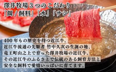 近江牛 すき焼き しゃぶしゃぶ 500g 盛り合わせ 冷凍 ( 和牛 国産 和牛 ブランド 和牛 三大和牛 三代 和牛 黒毛和牛 黒毛 和牛 近江牛 和牛 滋賀県 和牛 竜王町 和牛 産地直送 和牛 