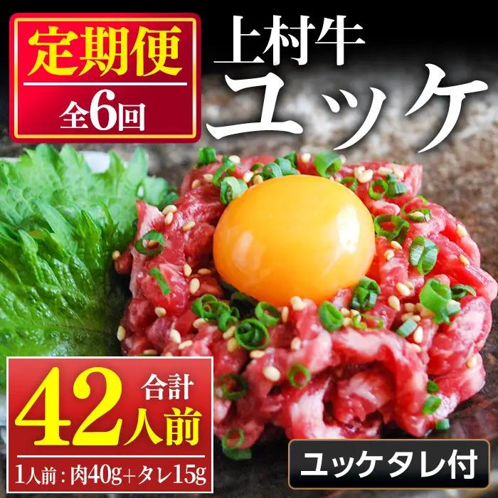 上村牛 ユッケ 定期便 全6回 連続 42人前 7人前×6回 タレ付 牛肉 生食 LRプラスK No.955