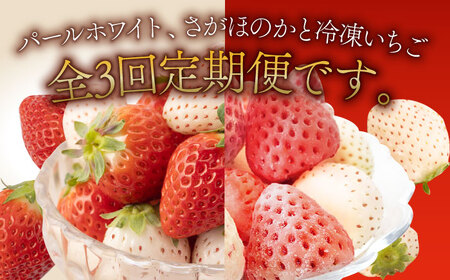 【先行予約 2027年3月～発送】【3回定期便】希少白いちごパールホワイト さがほのかと冷凍いちご / いちご [IAQ010]