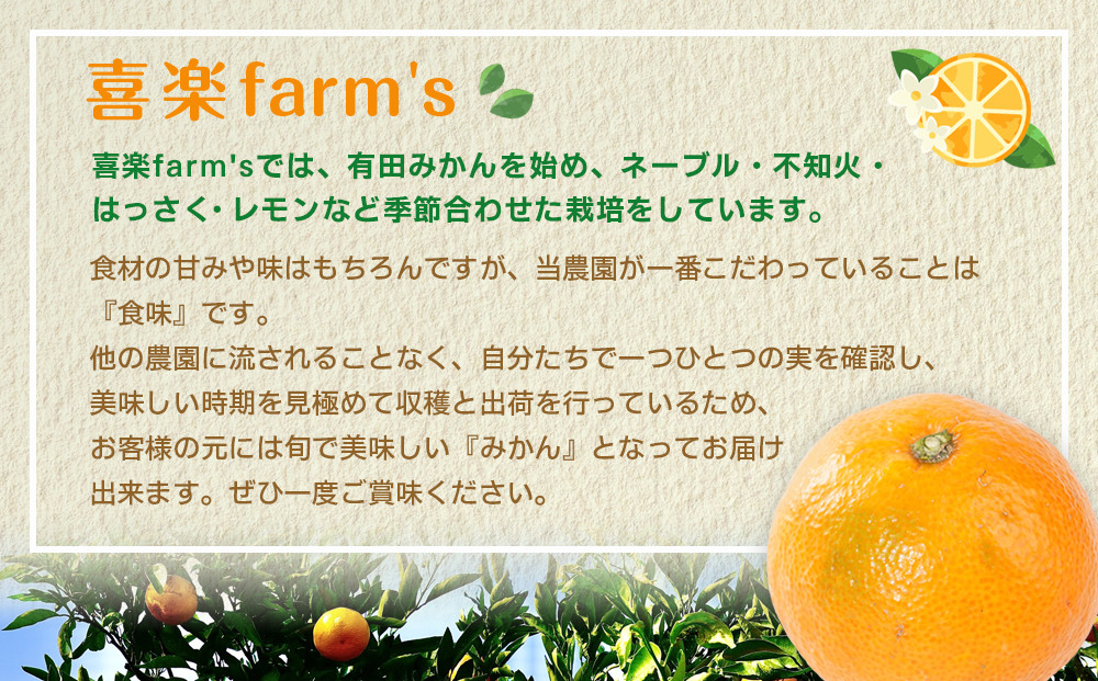 産地直送 有田みかん サイズ 不揃い 約5kg 喜楽farms 【2025年11月以降順次発送】