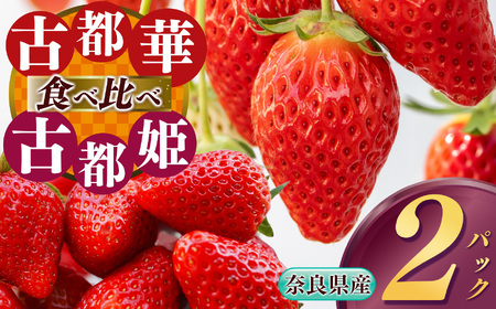 【食べ比べ】 平群の『古都華』＋希少『古都姫』（L～２Lサイズ）各1パック 計2パック 阪野農園 | 果物 くだもの フルーツ 苺 イチゴ いちご ストロベリー 古都華 ことか 古都姫 ことひめ 食べ比べ 旬の品種 奈良県 平群町