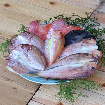 ふるさと納税 鹿屋市 【出水田鮮魚】創業40年の魚屋が厳選した鯛の干物詰合せ