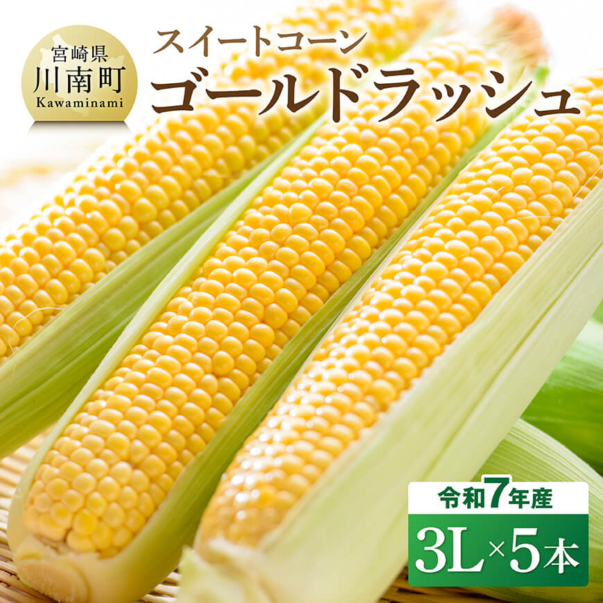 【ふるさと納税】※レビューキャンペーン※【令和7年発送】宮崎県産とうもろこし　スイートコーン「ゴールドラッシュ」3L×5本 - 新鮮 農家直送 トウモロコシ 産地直送 季節限定 期間限定 宮崎県産 九州産 D09108