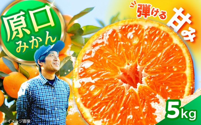 
【数量限定】 原口みかん 約5kg ＜Da・IWASAKI FARM＞ [CCZ004]
