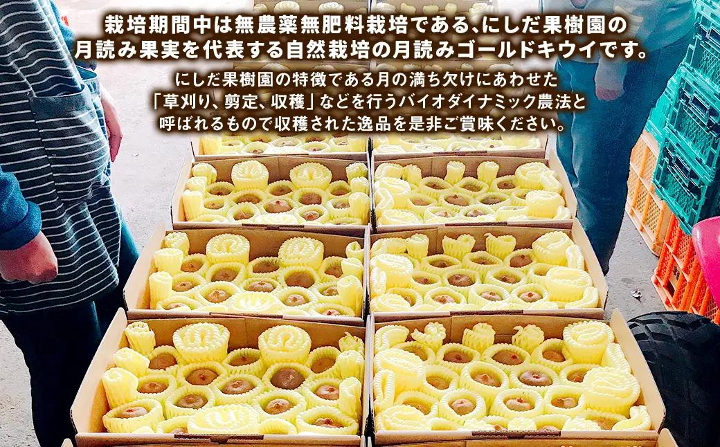 （ご家庭用梱包）にしだ果樹園の熊本県産 月読み ゴールドキウイ サイズ混合 約1kg 【2026年11月上旬発送開始】 キウイフルーツ キウイ 果物 果実 フルーツ 九州 熊本県産 熊本県 常温