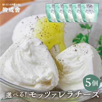 ふるさと納税 飛騨市 飛騨の牛乳屋・牧成舎の飛騨のフレッシュモッツァレラチーズ5個セット