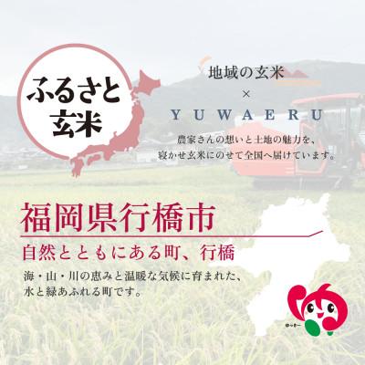 ふるさと納税 行橋市 【ふるさと玄米】寝かせ玄米ごはんパック 福岡県行橋市産【160g×24食セット】(行橋市) |  | 02