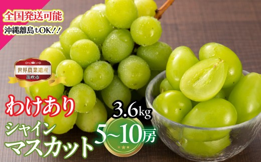 【2026年発送★先行予約】山梨県笛吹市産　わけありシャインマスカット　3.6kg　5房～10房　223-025-26y
