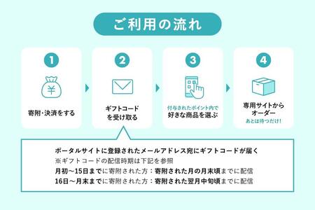 あとから選べるWEBカタログギフト（寄附100万円コース）300000ポイント宮古島市（JO005）
