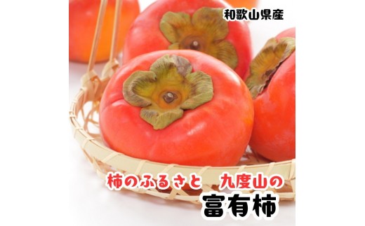 ［秋の美味］［九度山ブランド］柿のふるさと九度山の濃厚 富有柿 秀品 36玉(約7.5kg入り) Mサイズ ［MS151］