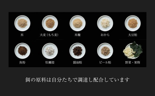 【全6回定期便】平飼い有精卵 省資源トレー 60個 《西粟倉村》【株式会社点々】t-SS-CrDA