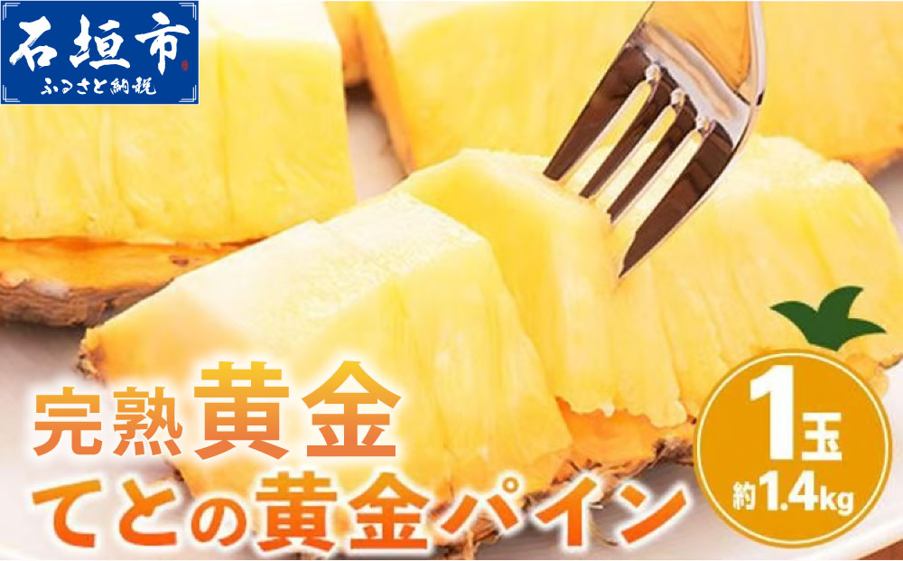 【先行予約】お試し用 完熟黄金 てとの黄金パイン 1玉 約1.4kg | 沖縄 石垣 ゴールデン パイン パイナップル 完熟 セット フルーツ デザート